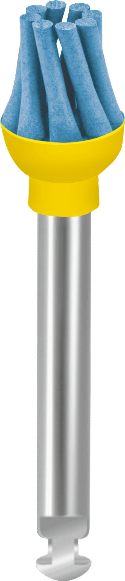 OF-Dg